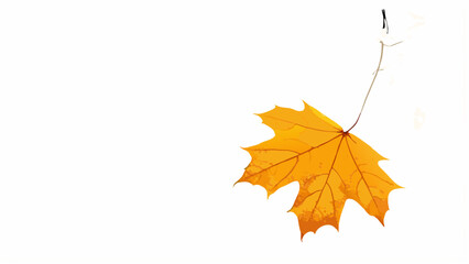 Golden autumn maple leaf isolated on white, showcasing nature's vibrant seasonal beauty with colorful fall foliage