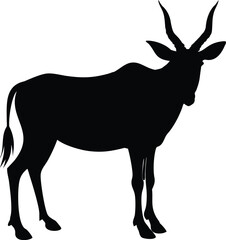 eland with white background