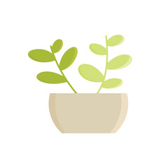 vector houseplant pot icon vector illustration