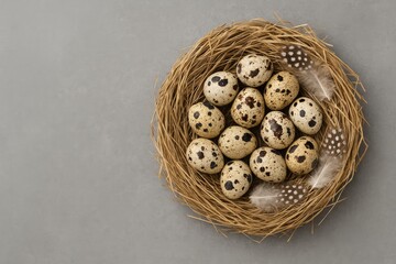 Arrange quail eggs and feathers on a gray background for Easter celebration with space for text.