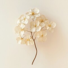 Fototapeta premium Sweet Alyssum flowers dried art.