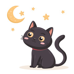Adorable black cat with wide eyes sits gazing at moon and stars