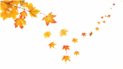 Autumn fall leaves pattern design with gold stars, vector illustration on white background