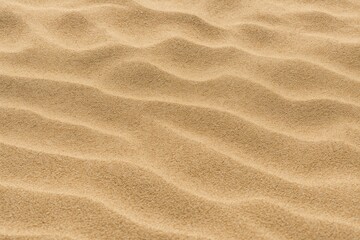 Obraz premium Beach shoreline with visible sand surface