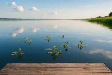 Fototapeta premium Serene waters with gentle reflections of the sky and floating vegetation