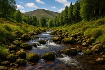 Fototapeta premium A tranquil mountain stream with rocks, pristine water, and moss in a scenic national park
