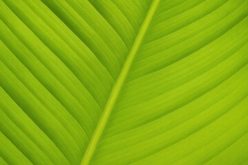 Detailed close-up of a vibrant green leaf showcasing natural textures for design inspiration