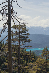 Obraz premium A breathtaking panoramic view from the Herzogstand summit in the Bavarian Alps, overlooking the turquoise waters of Walchensee and layers of mountain peaks stretching into the distance.