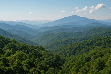Naklejka premium Scenic view of layered hills in a lush natural setting emphasizing forest preservation and environmental protection