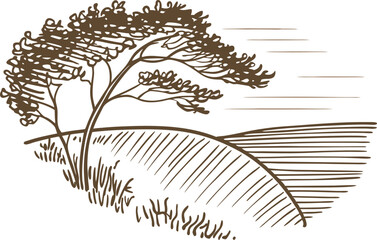 Wind blown tree on open hill minimalist landscape drawing with flowing lines, nature  illustration