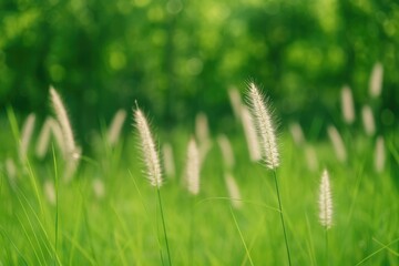 Stunning scenery of lush green grass and colorful blossoms