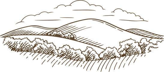 Fototapeta premium Rolling gentle hills with bushes and clouds hand drawn landscape sketch, countryside scene illustration