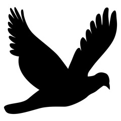 dove in hand vector