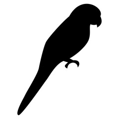 bird icon