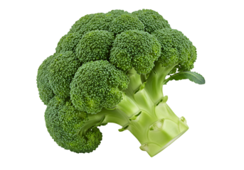 Isolated Fresh Green Broccoli Vegetable With Transparent Background Food