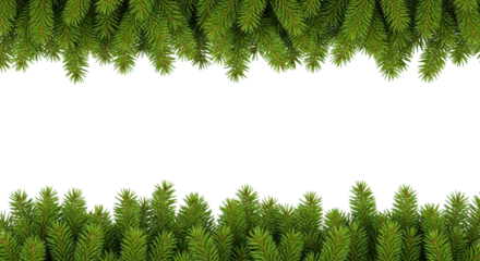 Christmas evergreen border isolated PNG with Transparent Background