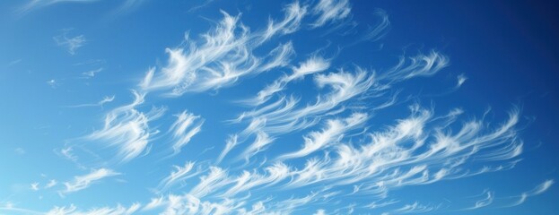 Fototapeta premium Blue sky with cirrus clouds background nature outdoors.