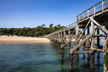 Fototapeta premium L'estacade du bois de la chaise de Noirmoutier (Vendée - France)
