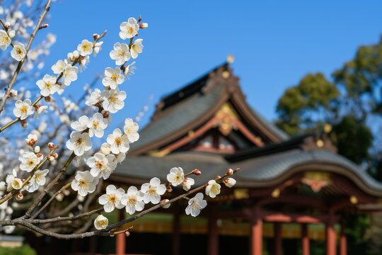 Cherry blossom display at sacred site