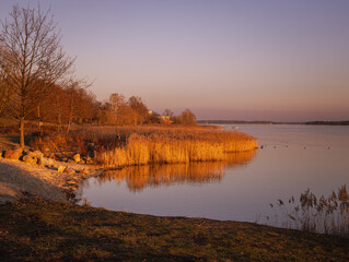 Fototapeta premium A peaceful sunset over the harbor in Senftenberg, Germany. The golden light reflects on the calm water and empty piers, creating a serene and tranquil evening atmosphere. Wind turbines are visible