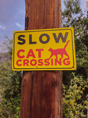 Wooden pole sign saying 'slow cat crossing' to protect local cats from speeding cars