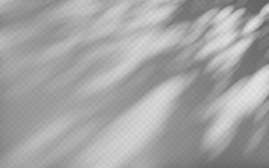 Obraz premium Abstract shadow overlay from tree branch on a transparent background.