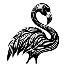 Solid Black Background for Overlay Design Element or Graphic Resource