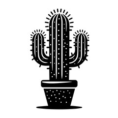 cactus in a pot