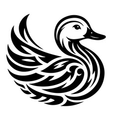 black and white duck