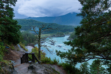 Scenic Katun river view amidst lush forest and majestic mountains Altay Russia
