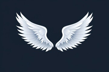 Fototapeta premium White angel wings feathers illustration archangel.