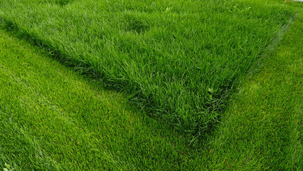Mowing overgrown lawn, part of grass has been cut off. Contrast of vibrant green grass, featuring perfectly mowed section next to overgrown area. Transformation of unkempt lawn after lawnmowers pass