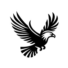 Fototapeta premium eagle with wings