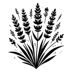 Image Processing Complete