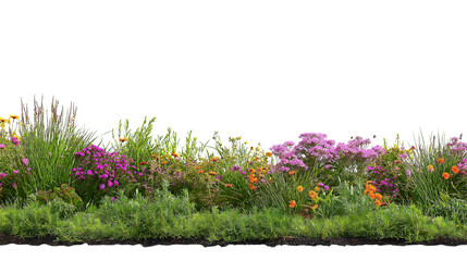 Obraz premium vibrant bed of colorful flowers and greenery isolated on white background
