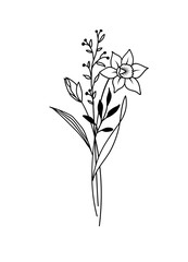 Daffodil March Birth Month Flower Bouquet