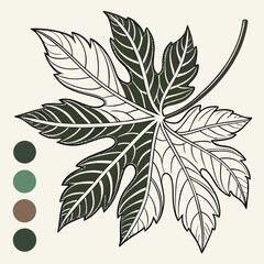 Stylized leaf illustration with color palette