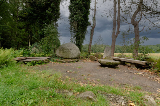 Gedenkstein f&uuml;r Hermann L&ouml;ns in waldreicher Umgebung mit steinernen Sitzelementen. Historischer Ort der Ruhe und Erinnerung inmitten unber&uuml;hrter Natur.