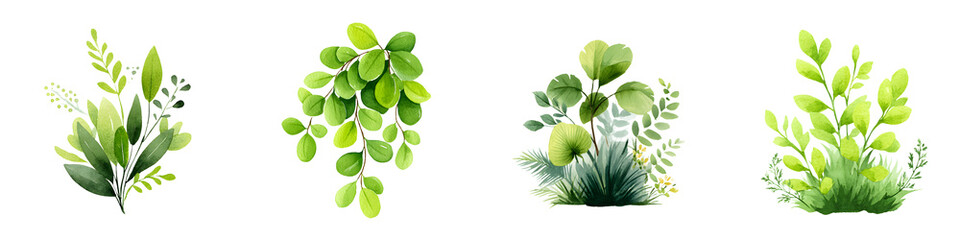 Obraz premium Greenery Watercolor Illustration Set, Botanical Elements