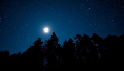 Fototapeta premium Silhouetted trees against a star-strewn, moonlit night sky, celestial, dark photography