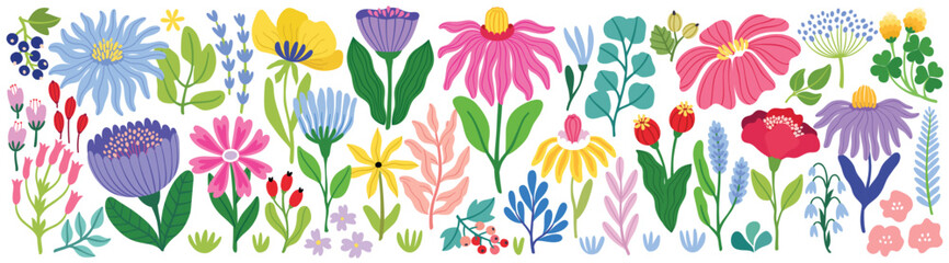 Floral collection with flowers, leaves for your design. Hand drawn set. Vector illustration.