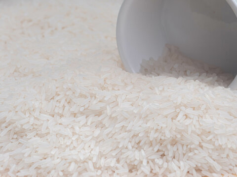 White Rice in Ceramic Bowl