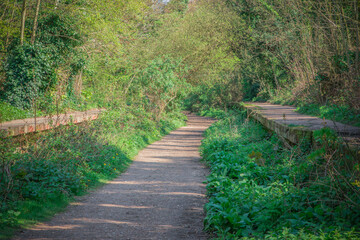 The Parkland Walk following the course of the old railway in Crouch End, London, UK