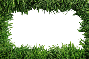 Green grass border frame, isolated on transparent cutout background