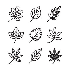 Set of Simple Line Art Leaf Icons
