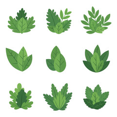 Various stylized green foliage illustrations in a minimalist flat design on a white background