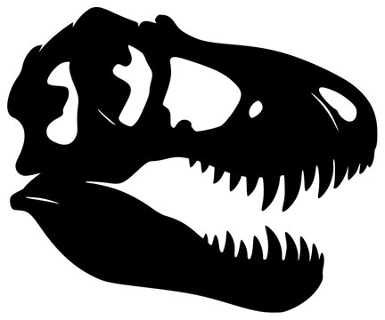 skull illustration fossil silhouette ancient logo dinosaur icon paleontology outline jurassic dino skeleton ancient dino trex egg prehistoric science shape for vector graphic background