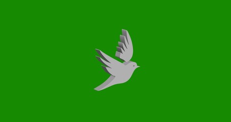 Isolated realistic white bird symbol front view with shadow. 3d illustration on green chroma key background