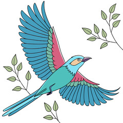 Obraz premium A beautiful blue and pink bird flying with wings spread