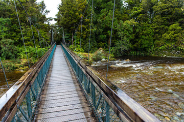 Suspension bridge crossing a creek, surrounded by dense temperate rainforest with lush ferns and native vegetation, Westland Tai Poutini National Park, West Coast, South Island, New Zealand